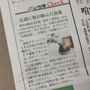 日経MJ（8/23付）にて仏像盆栽が紹介されました！